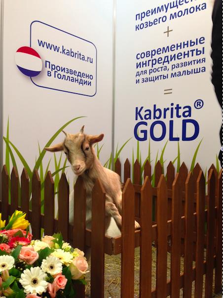 佳贝艾特亮相俄罗斯儿科大会，被誉为“专业与时尚并存的羊奶品牌”(图5)